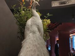 -滇野云南野生菌餐厅(陕西南路店)