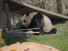 -上海野生动物园