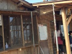 -岚山猴子公园