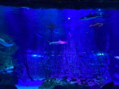 -沈阳海洋探索中心