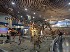 -国家自然博物馆