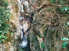 -东天目山风景区