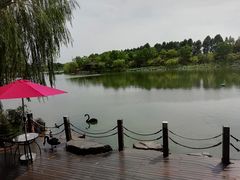 -上海怡沁园度假酒店