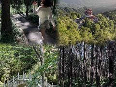 -洛阳白云山景区