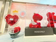 -ROSEONLY诺誓(广州K11店)