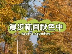 -白鹭湾湿地公园