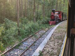 -合肥滨湖国家森林公园