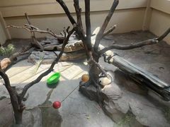 -宁波野生动物园