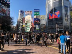 -涩谷全向十字路口