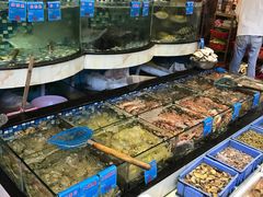 -揭阳钟记小食(福田新村店)