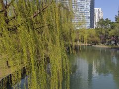 -中央公园(苏州工业园区)