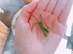 -水磨古镇