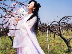 -樂桃源奉贤黄桃种植采摘基地