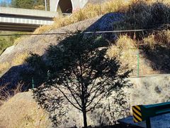 -仙霞关景区