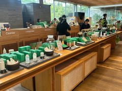 -雪绿茶博物馆