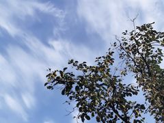 -天安门城楼