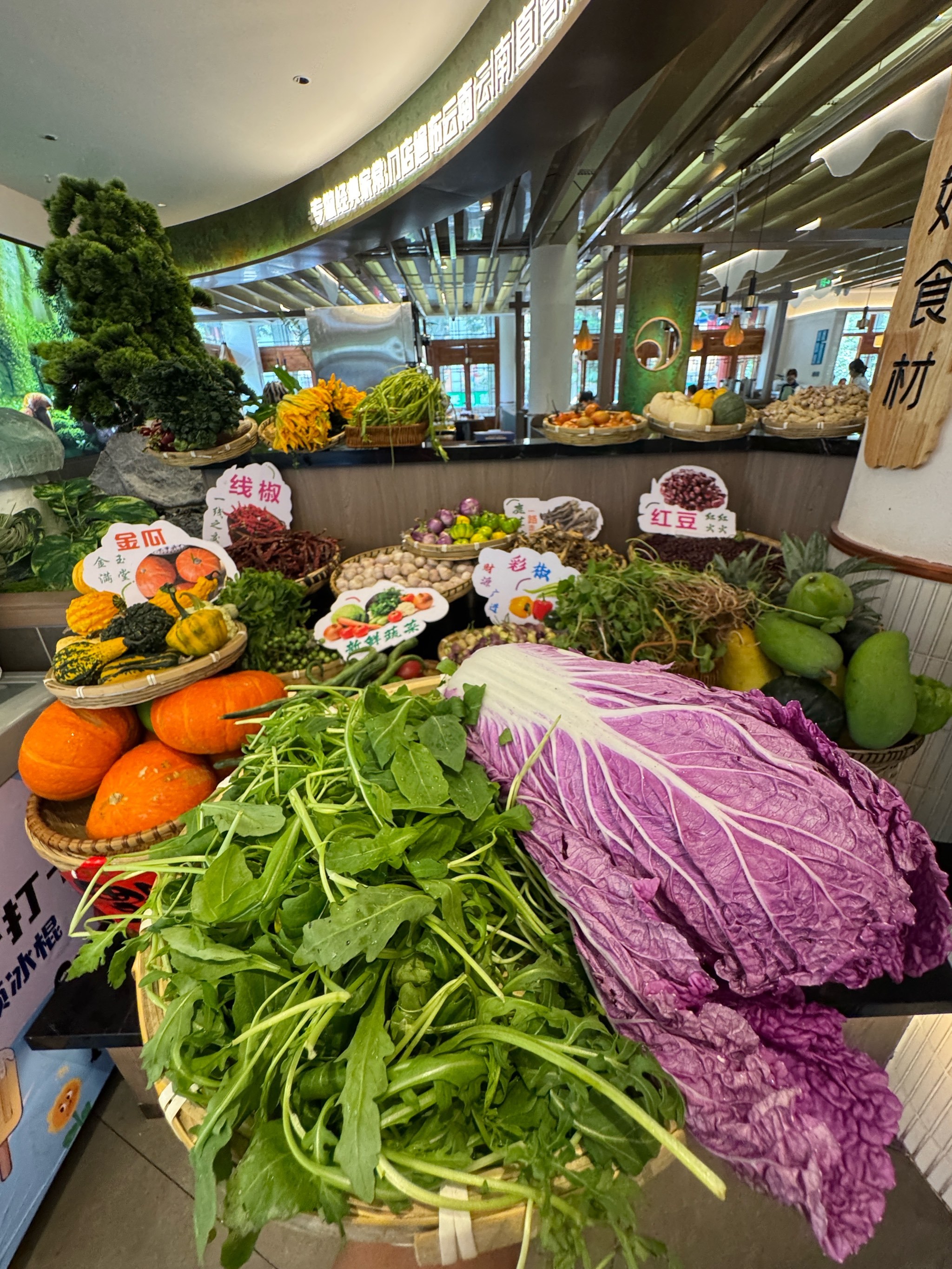 昆明翠湖旁挖到宝藏云南家常菜