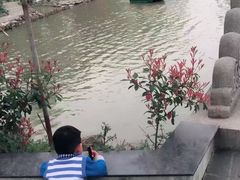 -南汇桃花村
