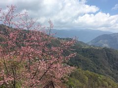 -老英格兰庄园
