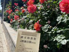 -奶油日报Journal de creme