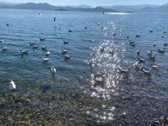 -丽江泸沽湖景区