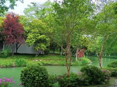 -西溪国家湿地公园