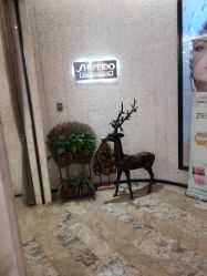 -AKOZO Beauty Salon