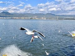 -海埂大坝
