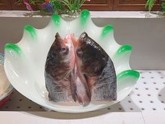 -解家河南菜(金水路店)