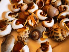 -福龙城大酒楼(三福龙景商业广场店)