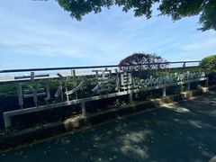 -大湾区中央湿地公园