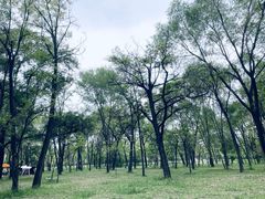 -森林公园(尖草坪区)