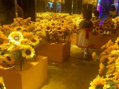 -梵高星空艺术馆(北京旗舰店)