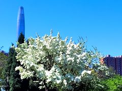 -泰丰公园