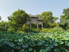 -西溪国家湿地公园