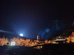 -禅宗少林·音乐大典
