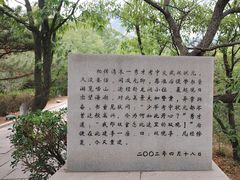 -石老人观光园