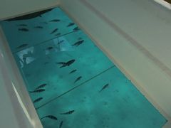 -蓝湾海滩