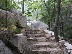-大岭沟猕猴桃谷风景区