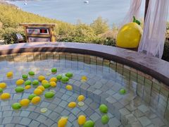 -天目湖涵田半山温泉