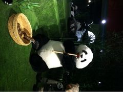 -成都泰迪熊博物馆