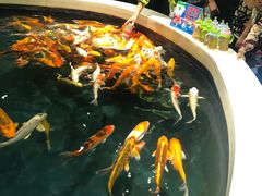 -海合安青岛极地海洋公园