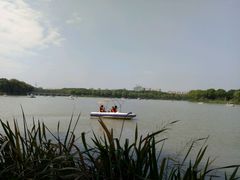 -昆山城市生态森林公园