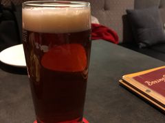 -Boxing Cat Brewery拳击猫精酿啤酒馆(永福店)