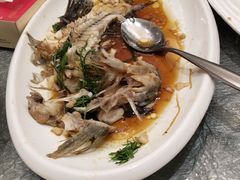 葱蒸桂花鱼-金满福国际酒店(迎宾大道店)