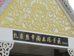 -莫里热带雨林景区