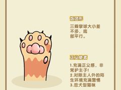 -翊宠yipet猫狗购宠庄园