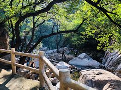 -房干生态旅游风景区