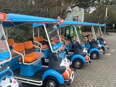 -上海海湾国家森林公园