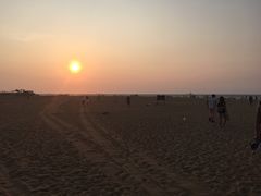 白沙门生态公园-白沙门生态公园